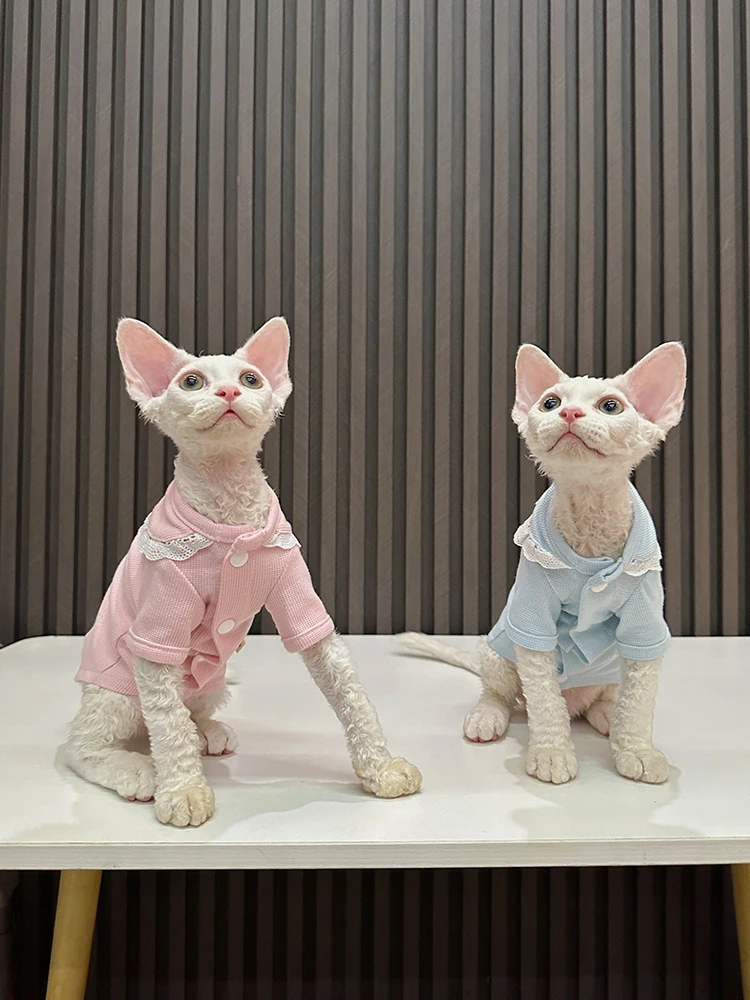 猫飼いが買ってよかったもの・悪かったもの正直に言う：スフィンクス猫用フリルTシャツの特徴とサイズガイド