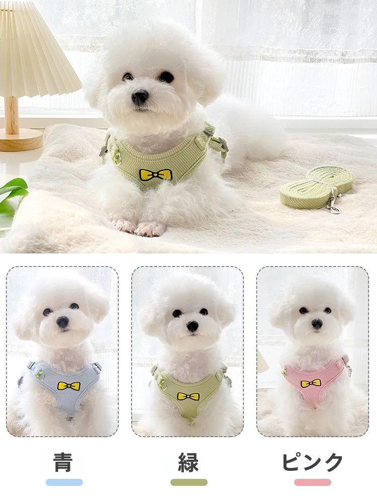 犬のお散歩グッズをコスパ良く揃える方法　完全ガイド：脱出防止機能付きリードの選び方