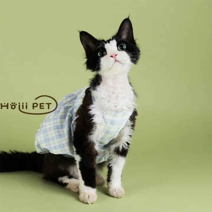 夏用チェック柄フリルパンプキンスカート【デボン猫用・かわいいデザイン・無毛猫用】
