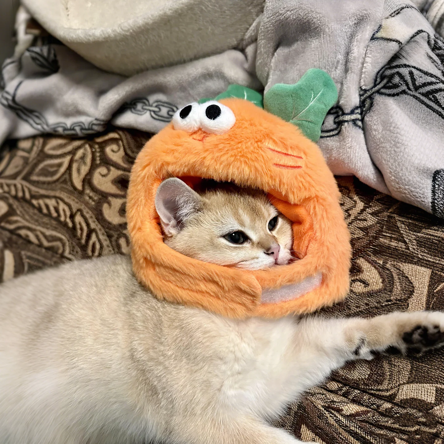 かわいいキャロットデザインの猫帽子：写真撮影向けの変装アクセサリー