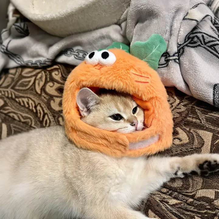 かわいいキャロットデザインのペット用猫帽子【毛むくじゃら・写真撮影用】