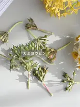ミニチュア装飾用フェイクフラワーセット【銀冠花・洋甘菊・小米果・満天星・ブラインドボックスデザイン】