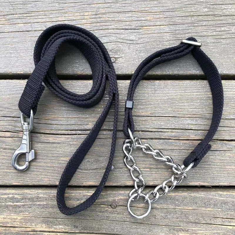 犬のお散歩グッズをコスパ良く揃える方法 - ナイロンリード＆首輪セットの実用ガイド