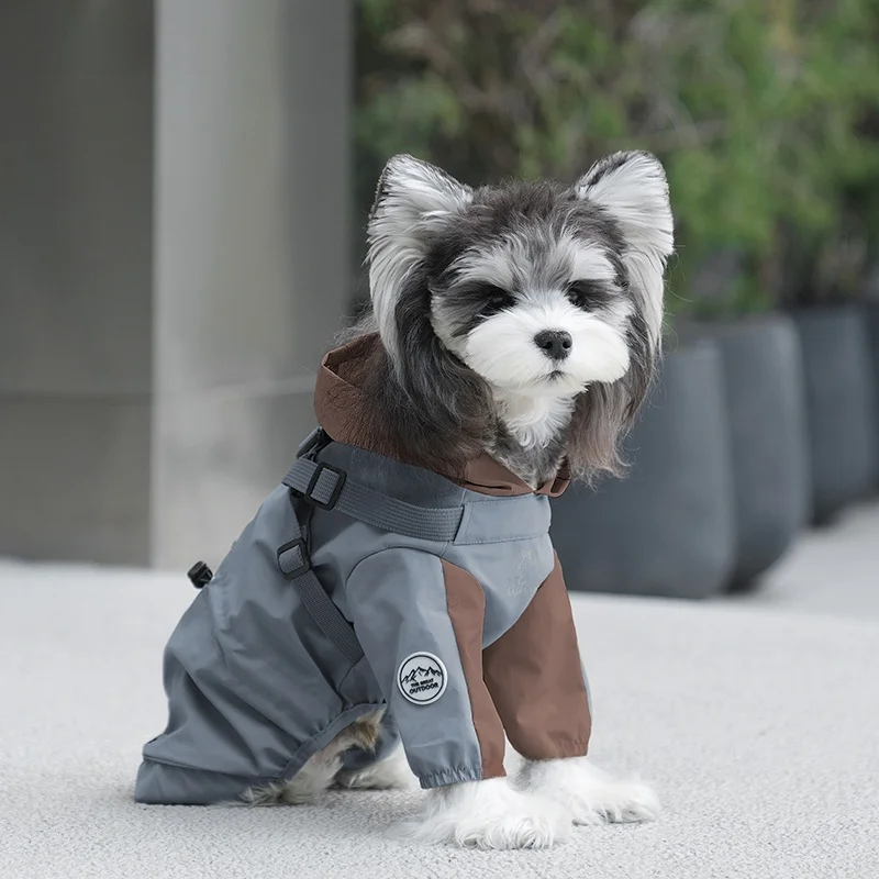 犬のお散歩グッズをコスパ良く揃える方法｜四脚タイプレインコートの選び方徹底解説