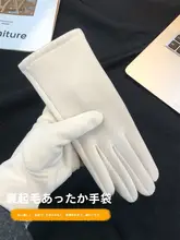 冬用 レディース手袋【極上の柔らかさ・タッチスクリーン対応・防風・保温・バイク・電動自転車用】
