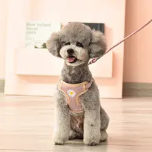 ペット用 犬用ハーネスリード【小型・中型犬対応・テディベア・散歩用】