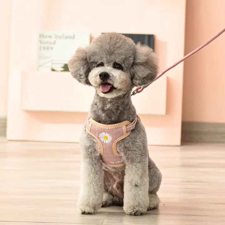 ペット用 犬用ハーネスリード【小型・中型犬対応・テディベア・散歩用】