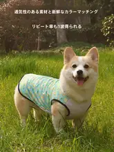 春夏用 薄手防虫＆防汚ペット用ベスト【柴犬・コーギー対応】