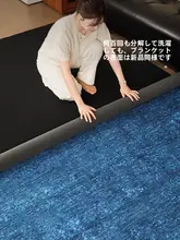 取り外し可能な洗えるカーペット【ダブルレイヤー・防滑・汚れに強い・リビング・寝室用】