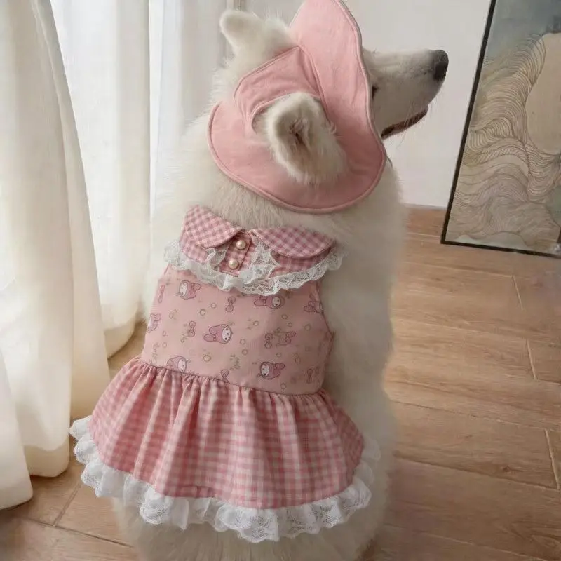 ドッグランで犬が輝く瞬間をどう創り出す？