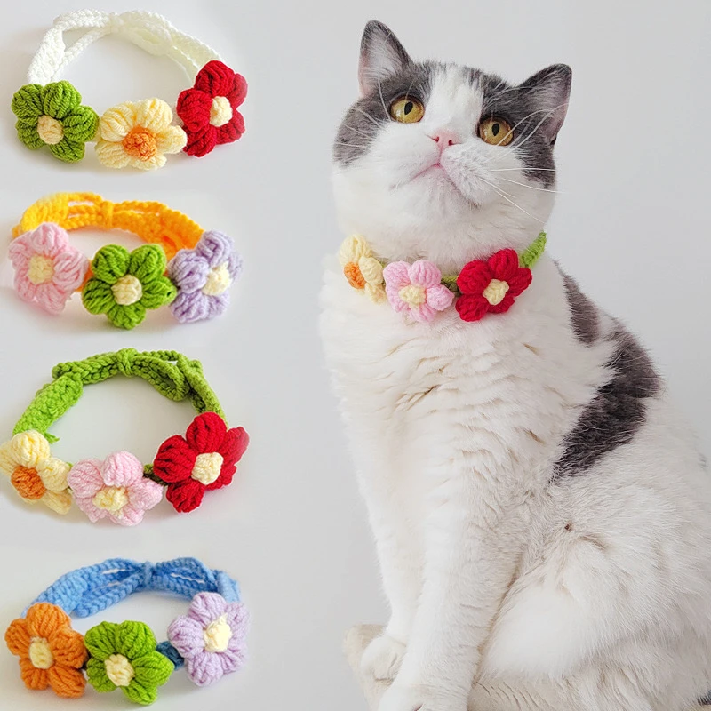 猫に合うアクセサリーの選び方は？4選でストレス軽減と日常の温かみを創り出す