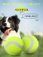耐噛み性ゴム製犬用おもちゃボール【ペットトレーニング・お散歩用・中型犬・小型犬対応】