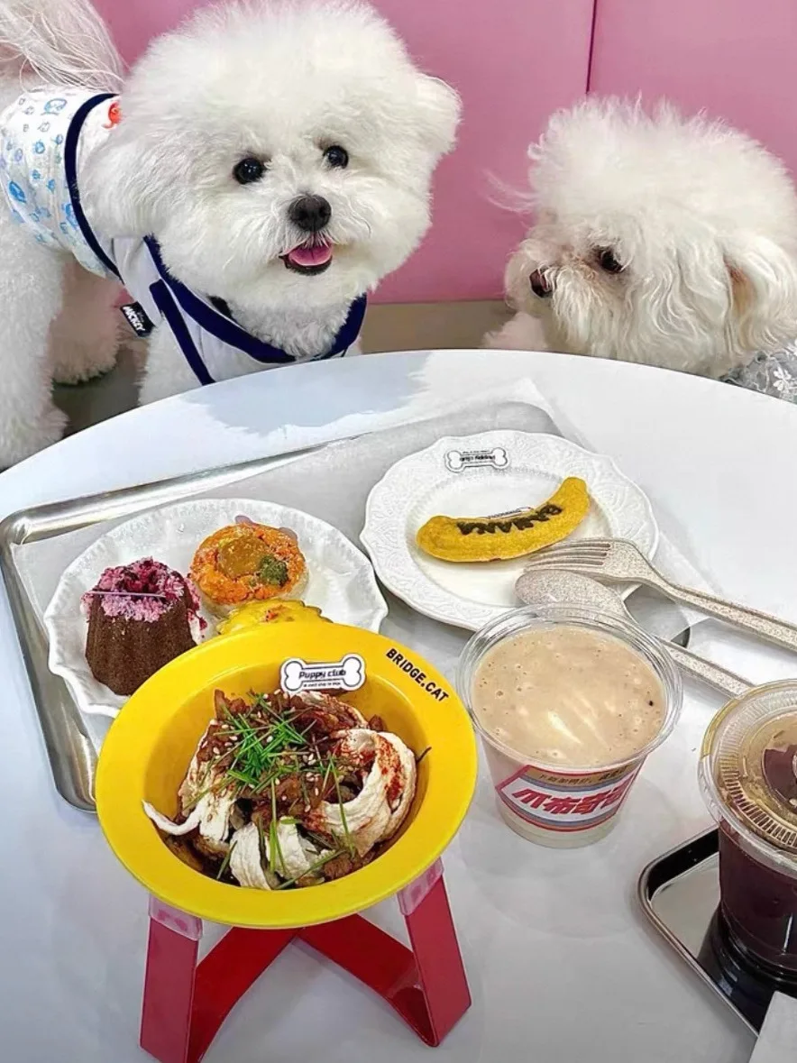 ブルーベリーを犬に与えるのは安全か？陶製ペットボウルの実用性と安全性を検証