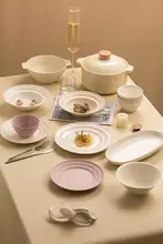 景徳鎮製 釉下彩の碗皿セット【食器・家庭用・高級感あり】（セットアップ対応）