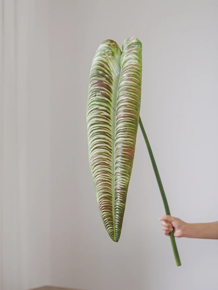 チランジアの育て方と花期を解説：ハイエンドの模擬植物が提供するリアルな観賞体験