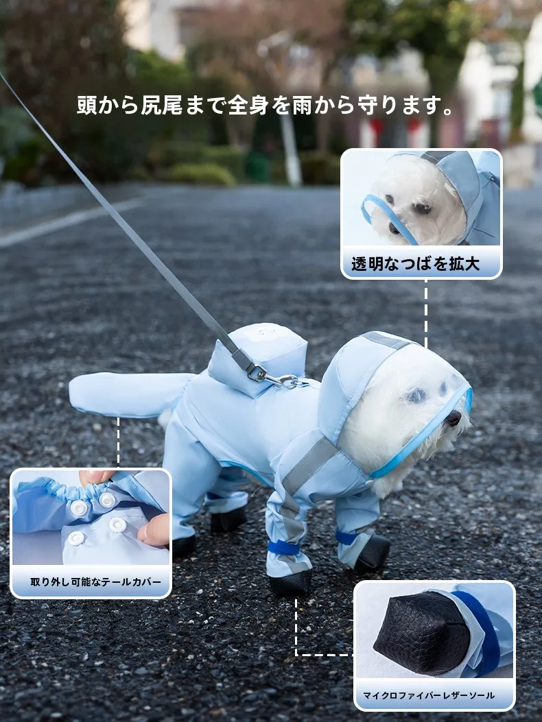 犬のお散歩グッズをコスパ良く揃える方法　完全ガイド