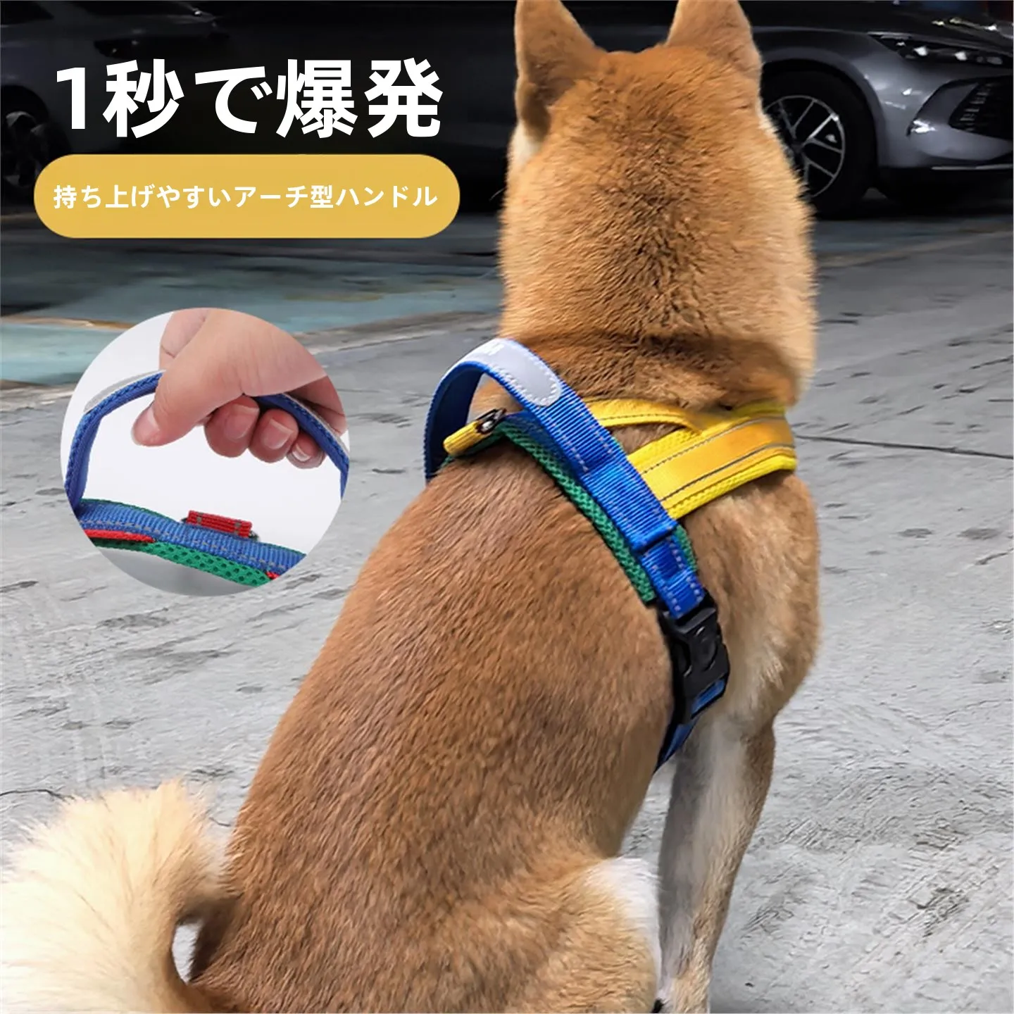 引っ張りを防ぐリードを選ぶときに、本当に大切なのは何？