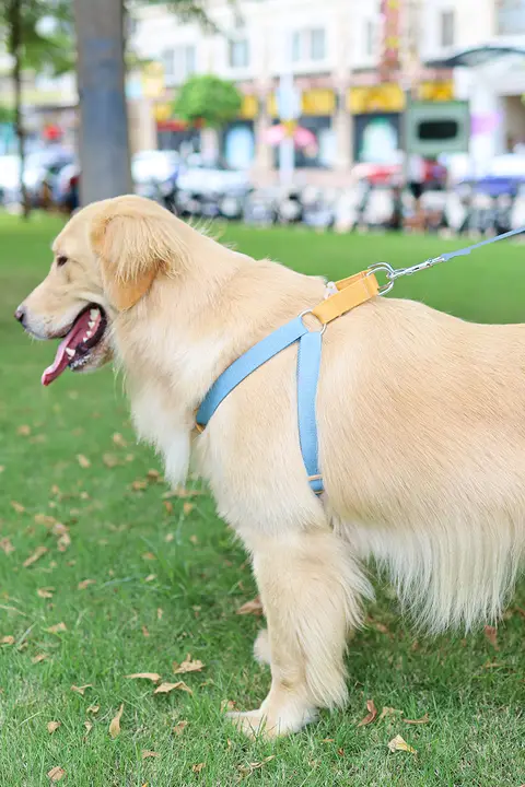 doglemi 犬用リード付きハーネス【小型・中型・大型犬対応】
