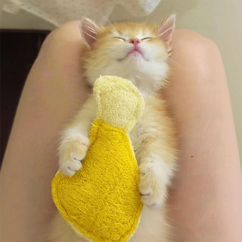 猫の遊び道具を手作りにするなら、この1品が本当の「遊びの質」を変える？