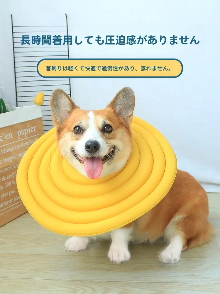 犬用エリザベスカラー：かみ防止・舐め防止に最適な軽量設計の実用性解析