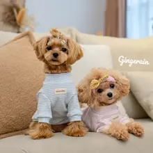 GINGERAIN 小型犬用オーガニックコットンストライプセーター【保温・アレルギー対応・4色展開】