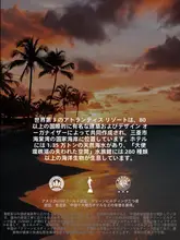 清潔感のあるコットン製ベッドシーツ＆カバー四点セット【高級感・ベッドカバー付き】（セットアップ対応）