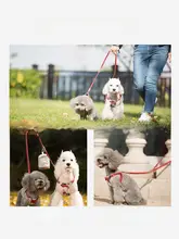 小型犬用 2頭引きリード【テディベア・ハーネス付き・猫対応】