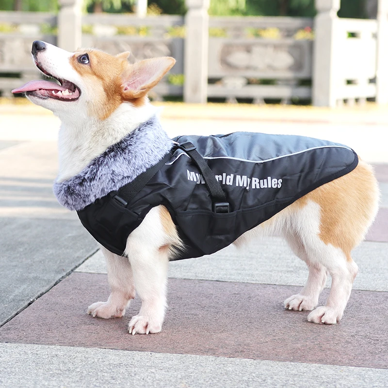 犬用厚手ダウンコート：中大型犬の冬場に最適な保暖性と通気性のバランス