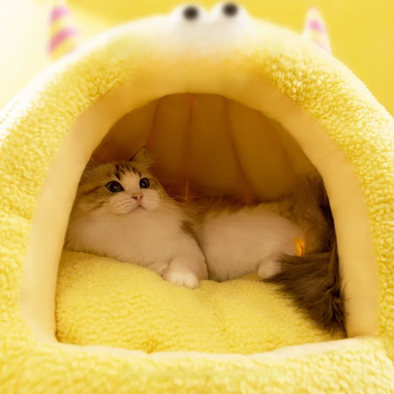 冬用密閉型猫ハウス：一人暮らし向けの保温性能とサイズ最適化