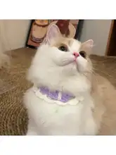 可愛い猫用手編みカラー【インスタ風・小型犬・猫・ウサギ対応】