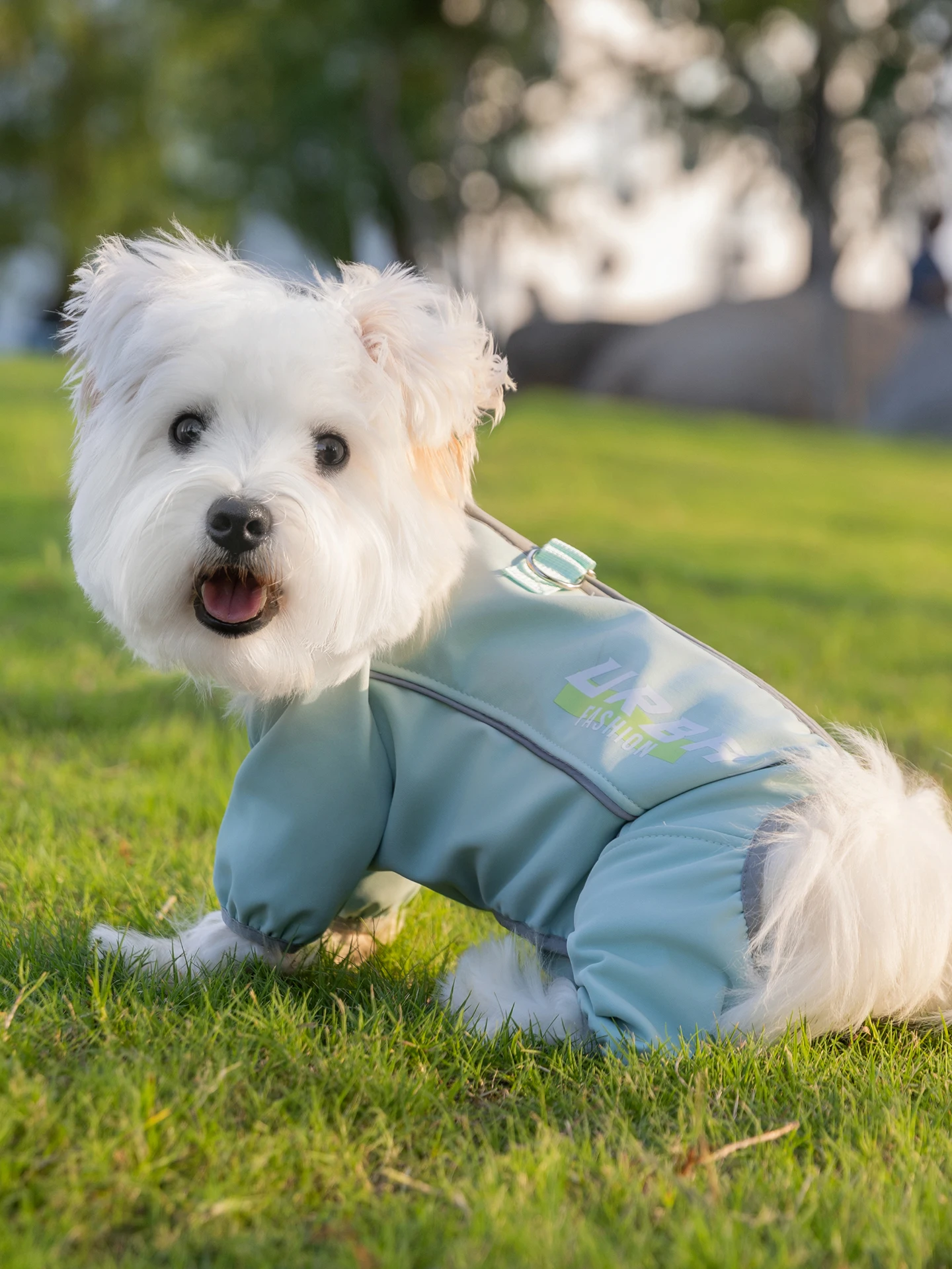 hipidog 3-in-1 ワンピースハーネス：小型犬用の冬用防水防風ウェアの実用性と使い方
