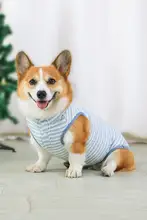 犬用衣服【全棉・春秋用・小型犬向け・防毛仕様】