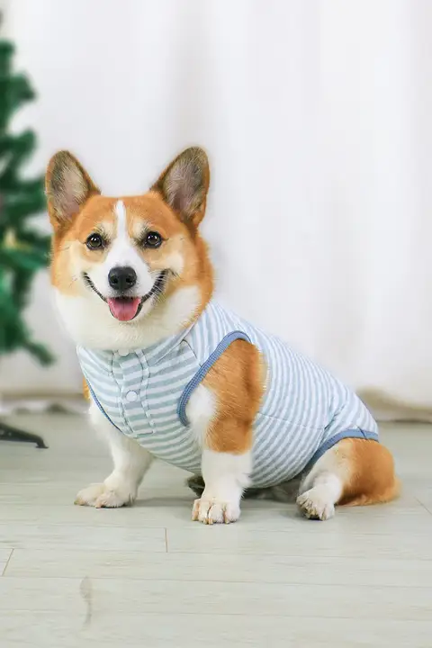 犬用衣服【全棉・春秋用・小型犬向け・防毛仕様】