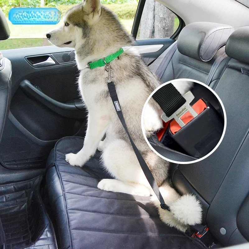 犬のお散歩グッズをコスパ良く揃える方法｜調整可能なナイロンシートベルトで実践するコストパフォーマンスの秘訣