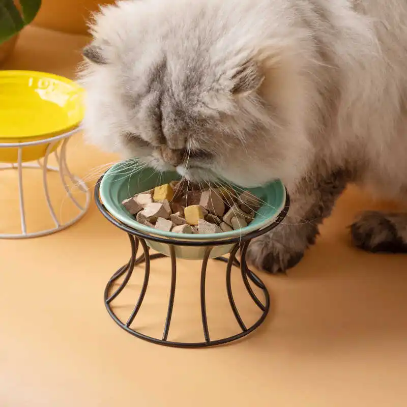 陶製ペット用猫食器：撥水・防倒れ設計と高台タイプの実用性解析