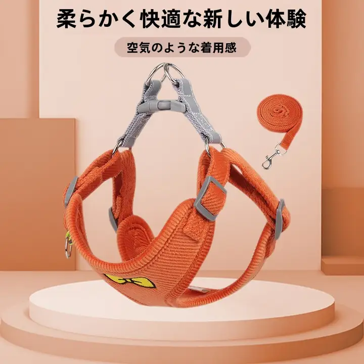 小型犬用ハーネス付きリード【テディ・ビション・ポメラニアン用・安心設計】