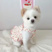 犬用夏用キャミソールワンピース【通気性のある薄手・プリンセススタイル・テディベア対応】