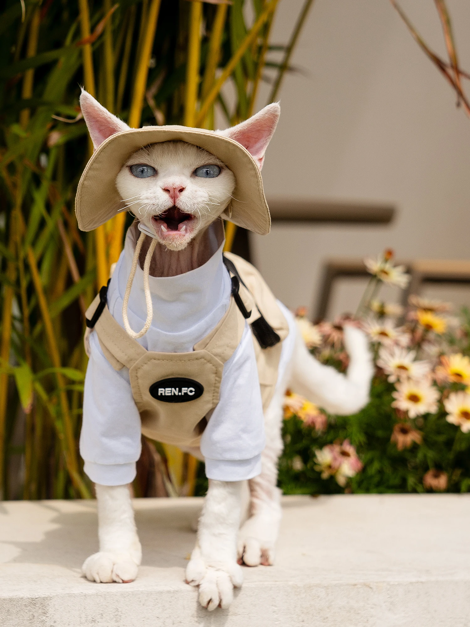 アウトドアキャンプベスト：防水素材で猫の体温維持をサポート