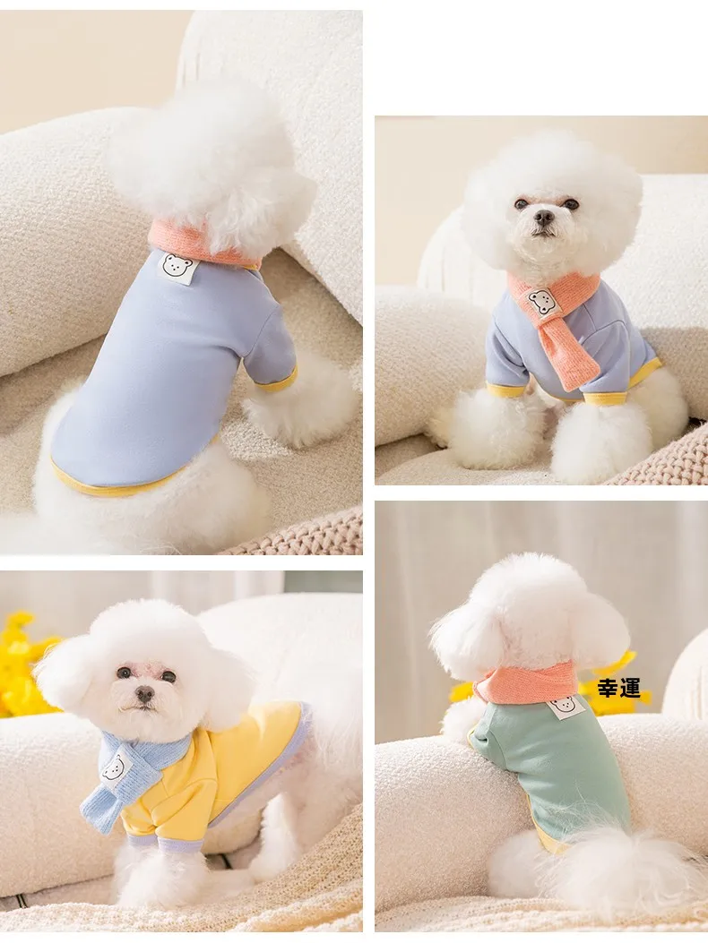 hipidog 小型犬用ウェア：かわいいニットデザインで春秋に最適な通勤・散歩スタイル