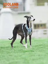 犬用ハーネスリード【中大型犬対応・引っ張り防止・快適設計】