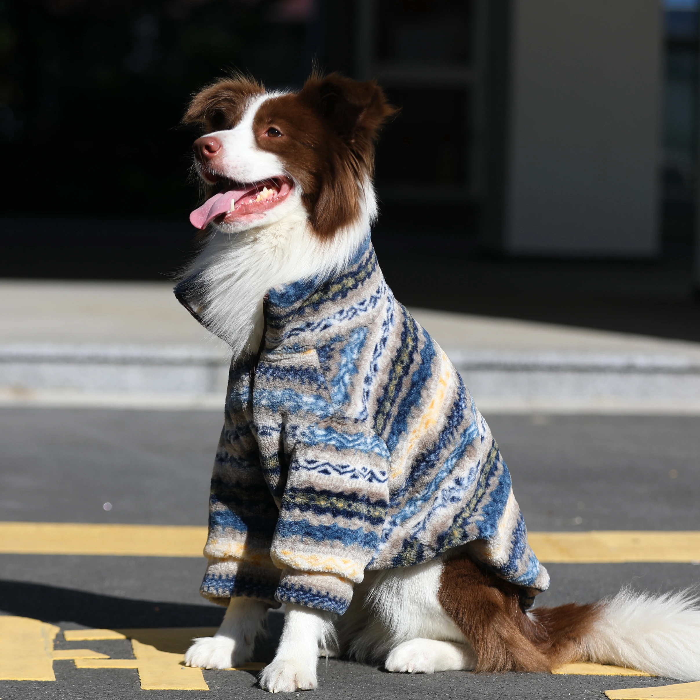 ボーダーコリーの寒さ対策に最適な大型犬用羊毛風ジャケット