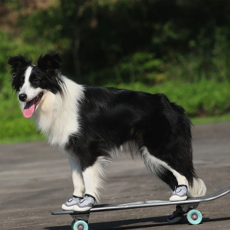 犬のお散歩グッズをコスパ良く揃える方法｜通気性と耐摩耗性のバランスを徹底解説