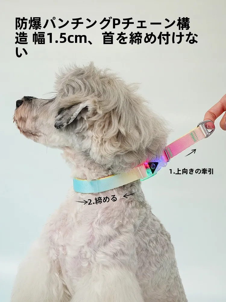 犬とキャンプでリードが不安になるとき、どう選ぶ？