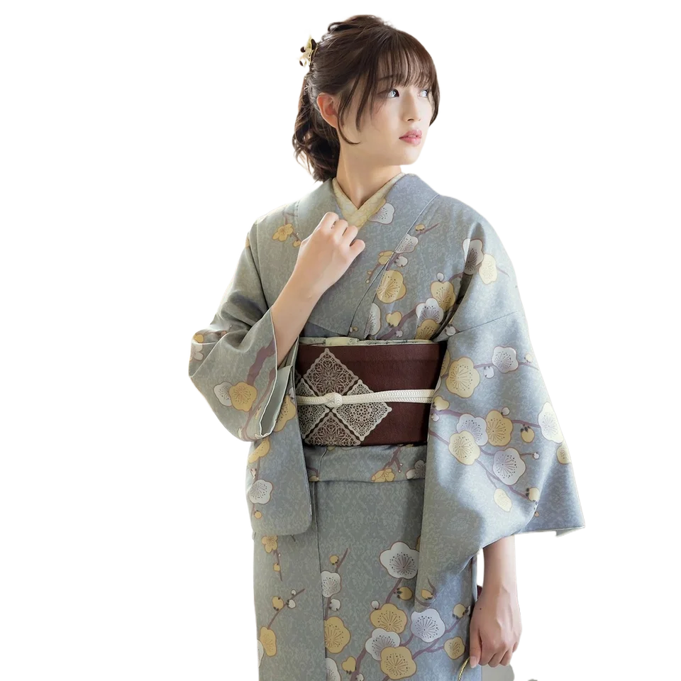 日本女性用伝統振袖着物【小紋・二重裏地・旅撮影向け】（セットアップ対応）