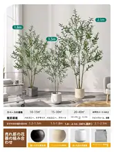 高級感のある大きなオリーブのフェイクグリーンプランツ【フロアディスプレイ用・装飾用】