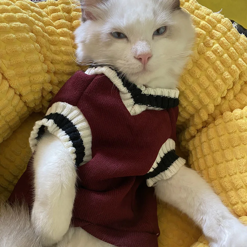 猫飼いが買ってよかったもの・悪かったもの正直に言う｜秋冬保温猫服の実測ガイド