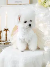 ピンクの夏用犬服 【小型犬・トイプードルやマルチーズ対応・かわいいドレスデザイン】