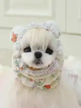 ペット用 犬用ヘッドアクセサリー【マルチーズ・ヨークシャ・シーズー用・食事用・防汚・かわいい弾力ヘアバンド】