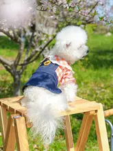 デニムサロペットワンピース【犬猫用・夏用・プリンセススタイル】（セットアップ対応）