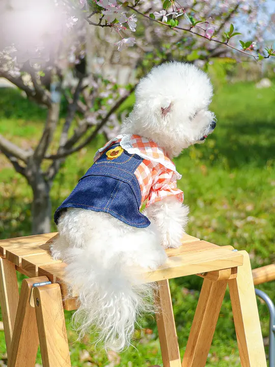 デニムサロペットワンピース【犬猫用・夏用・プリンセススタイル】（セットアップ対応）